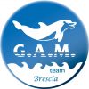 GAM-brescia